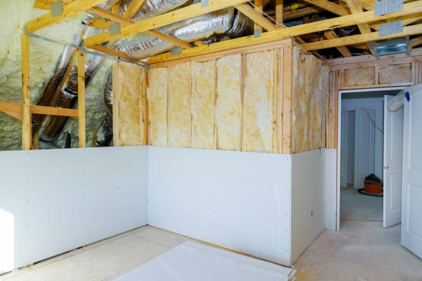 Best Types of Insulation in Mustang Ridge, TX